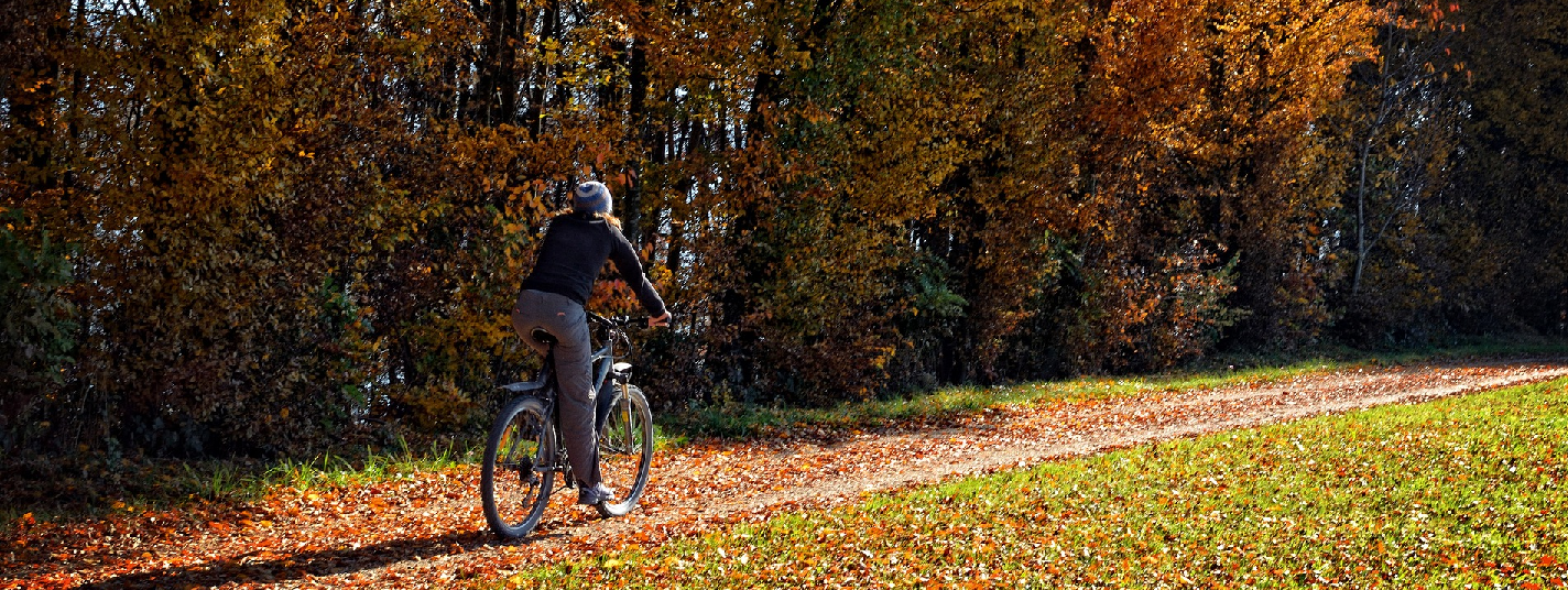 Vrouw op fiets in herfstig bos